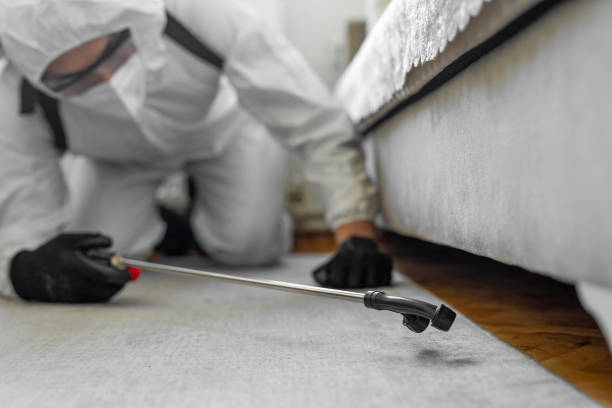 Professional Bed Bug Control technician working in Oblong, IL