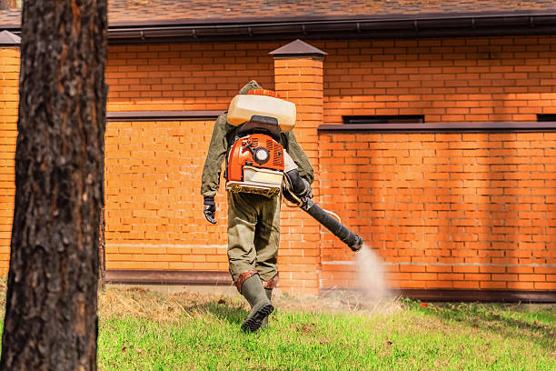 Top rated local Bed Bug Control specialists in Oblong, IL